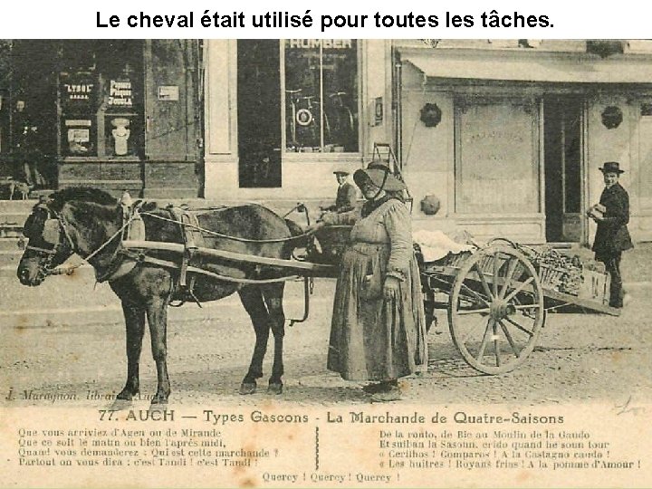 Le cheval était utilisé pour toutes les tâches. 