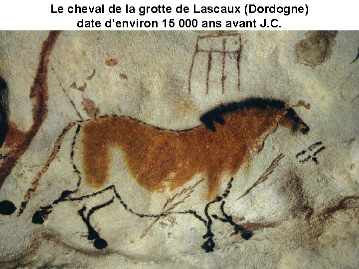 Le cheval de la grotte de Lascaux (Dordogne) date d’environ 15 000 ans avant