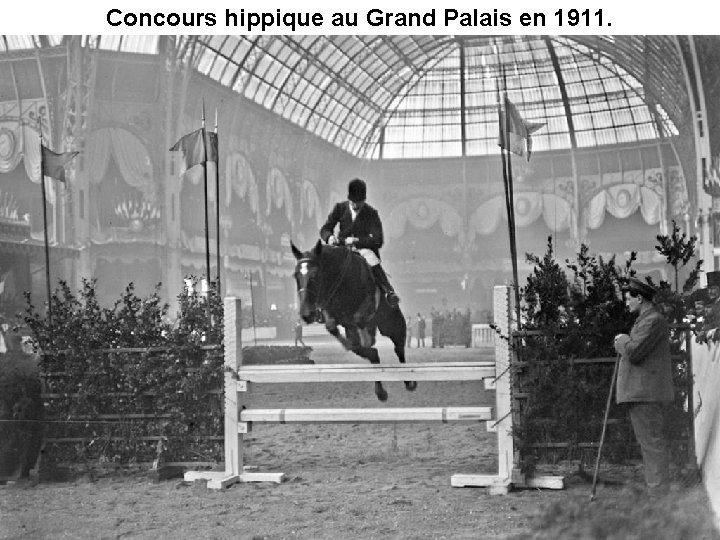 Concours hippique au Grand Palais en 1911. 