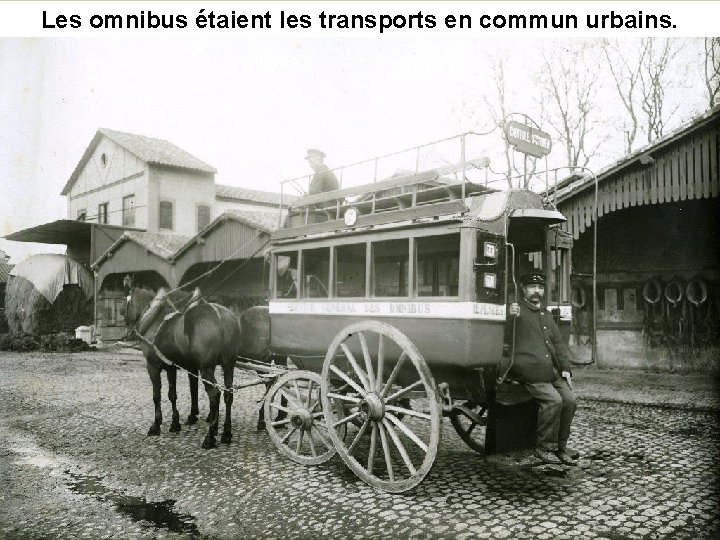 Les omnibus étaient les transports en commun urbains. 