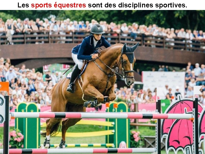 Les sports équestres sont des disciplines sportives. 