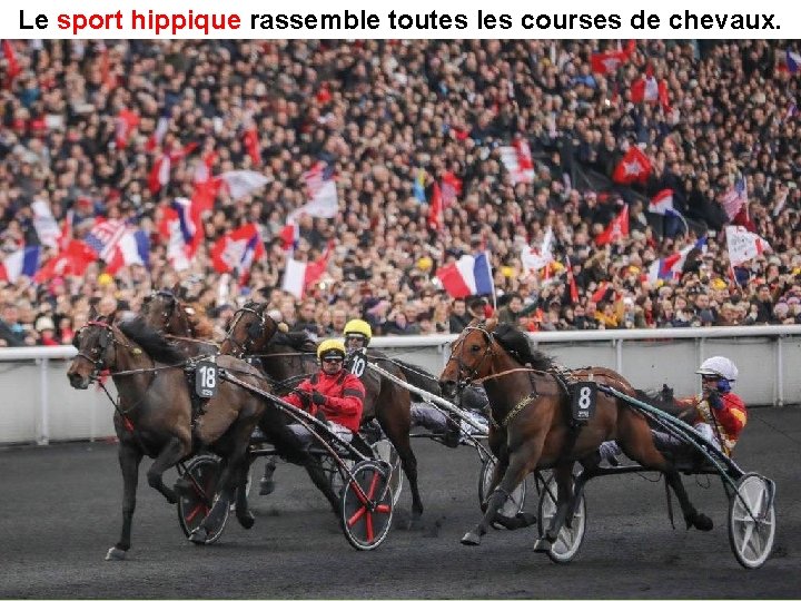 Le sport hippique rassemble toutes les courses de chevaux. 
