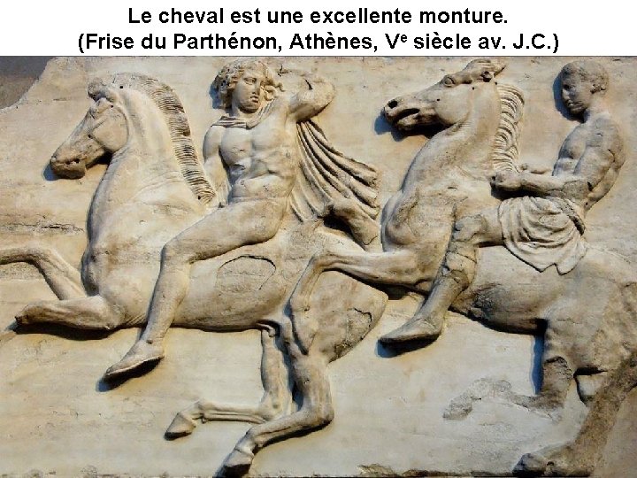 Le cheval est une excellente monture. (Frise du Parthénon, Athènes, Ve siècle av. J.