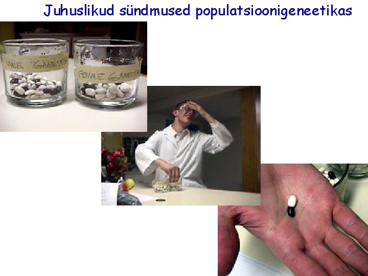 Juhuslikud sündmused populatsioonigeneetikas 