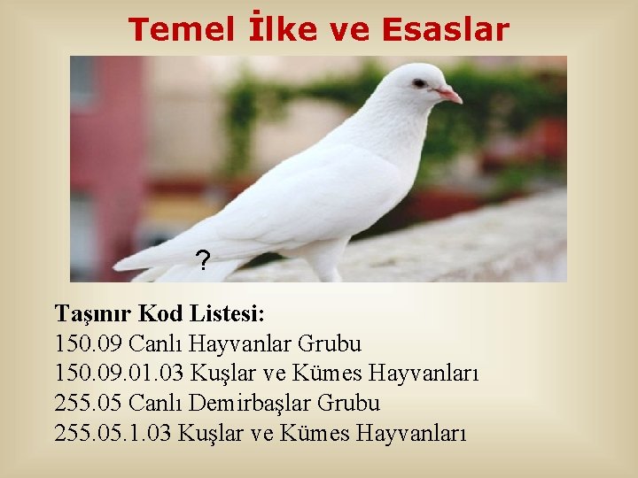 Temel İlke ve Esaslar ? Taşınır Kod Listesi: 150. 09 Canlı Hayvanlar Grubu 150.