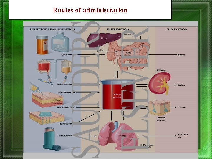 Routes of administration 