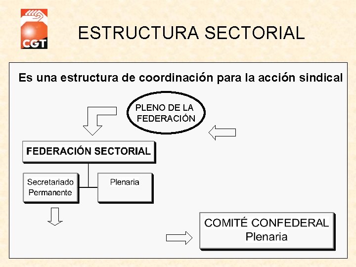 ESTRUCTURA SECTORIAL Es una estructura de coordinación para la acción sindical PLENO DE LA