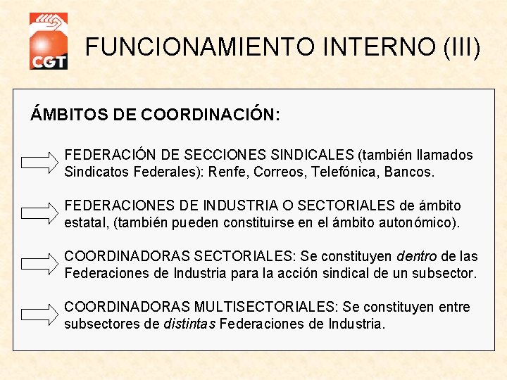FUNCIONAMIENTO INTERNO (III) ÁMBITOS DE COORDINACIÓN: FEDERACIÓN DE SECCIONES SINDICALES (también llamados Sindicatos Federales):