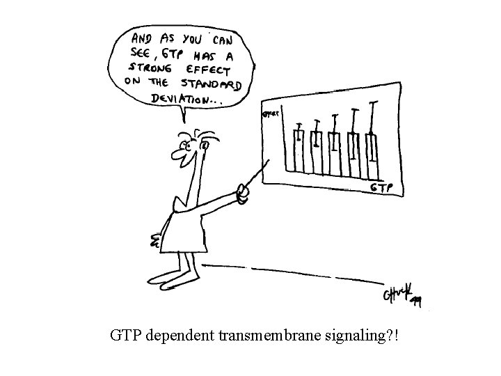 GTP dependent transmembrane signaling? ! 