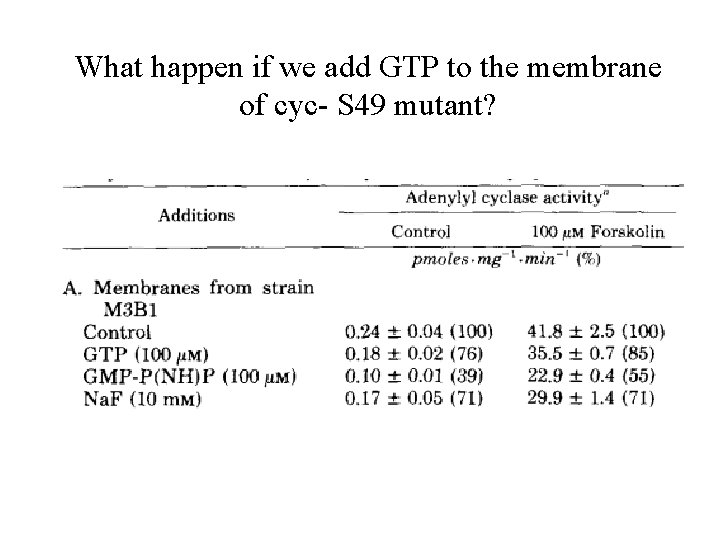 What happen if we add GTP to the membrane of cyc- S 49 mutant?