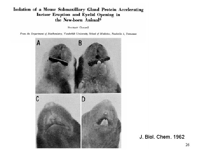 J. Biol. Chem. 1962 26 