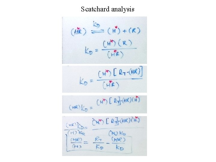 Scatchard analysis 