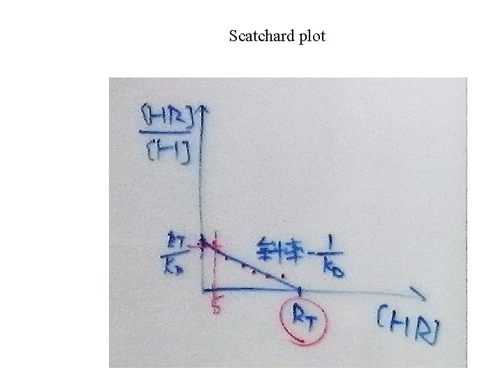 Scatchard plot 
