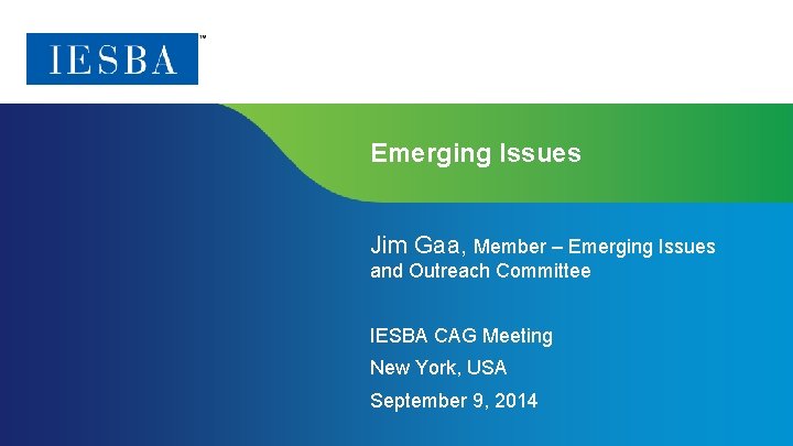 Emerging Issues Jim Gaa, Member – Emerging Issues and Outreach Committee IESBA CAG Meeting