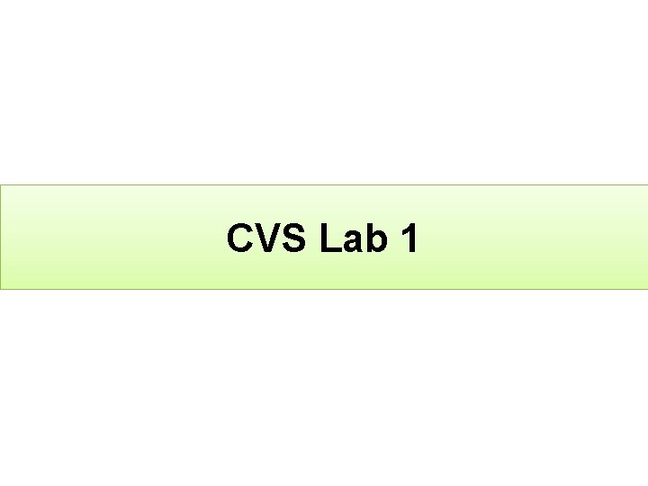 CVS Lab 1 