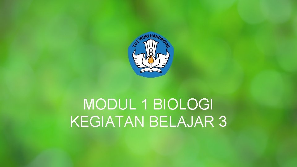 MODUL 1 BIOLOGI KEGIATAN BELAJAR 3 