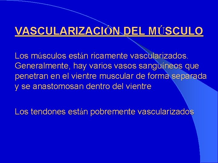 VASCULARIZACIÓN DEL MÚSCULO Los músculos están ricamente vascularizados. Generalmente, hay varios vasos sanguíneos que