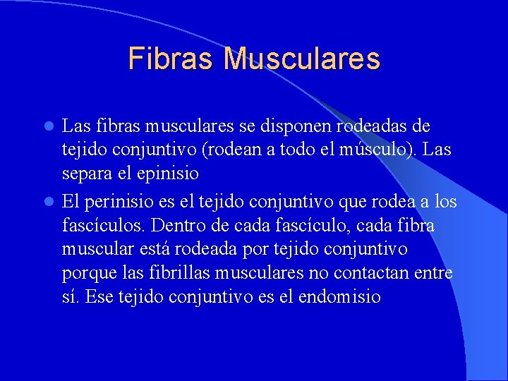 Fibras Musculares Las fibras musculares se disponen rodeadas de tejido conjuntivo (rodean a todo
