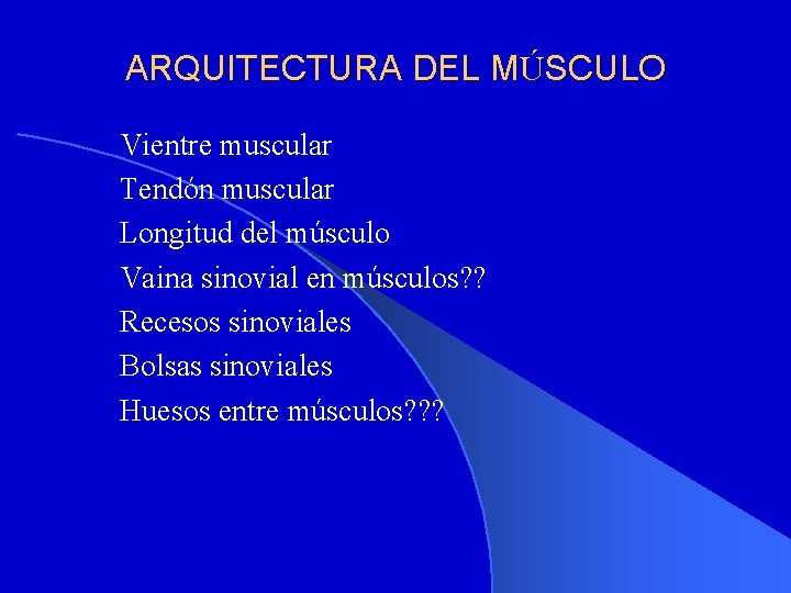 ARQUITECTURA DEL MÚSCULO Vientre muscular Tendón muscular Longitud del músculo Vaina sinovial en músculos?