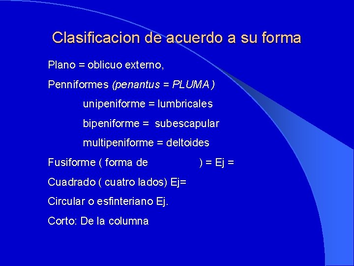 Clasificacion de acuerdo a su forma Plano = oblicuo externo, Penniformes (penantus = PLUMA