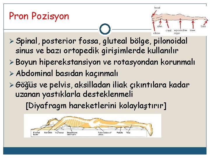 Pron Pozisyon Ø Spinal, posterior fossa, gluteal bölge, pilonoidal sinus ve bazı ortopedik girişimlerde
