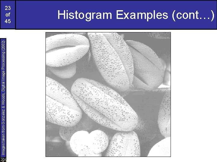 Images taken from Gonzalez & Woods, Digital Image Processing (2002) 23 of 45 Histogram