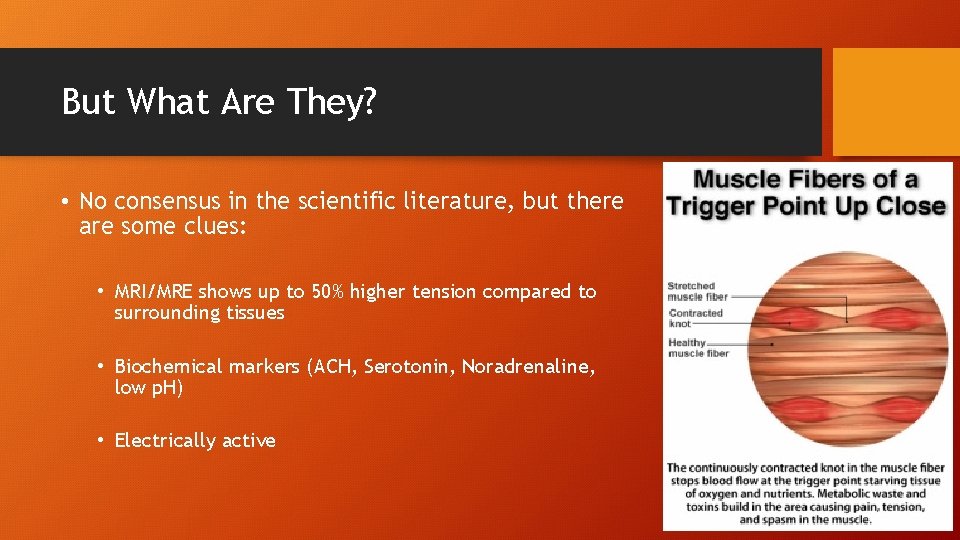 But What Are They? • No consensus in the scientific literature, but there are
