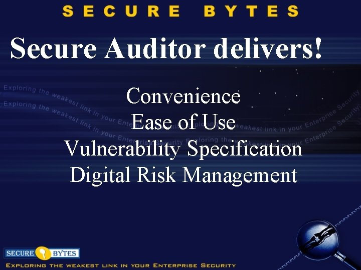 Secure Auditor delivers! Convenience Ease of Use Vulnerability Specification Digital Risk Management 