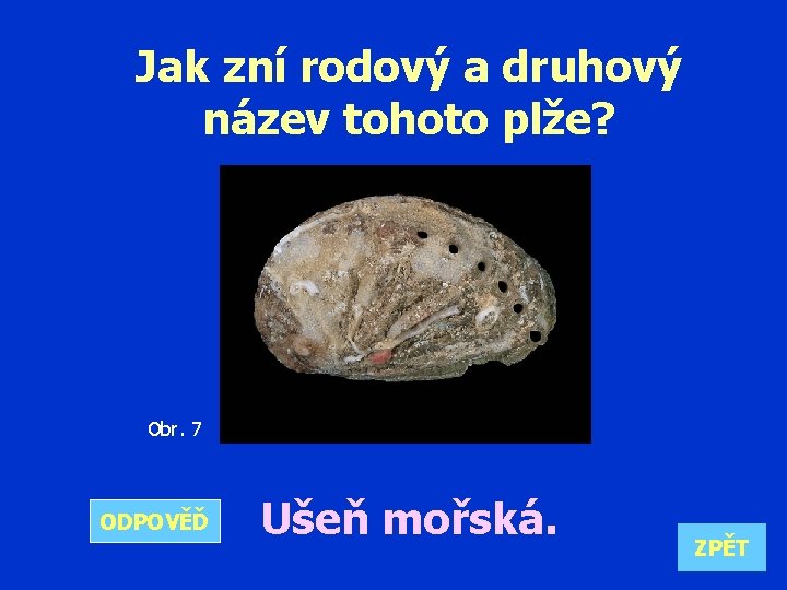 Jak zní rodový a druhový název tohoto plže? Obr. 7 ODPOVĚĎ Ušeň mořská. ZPĚT