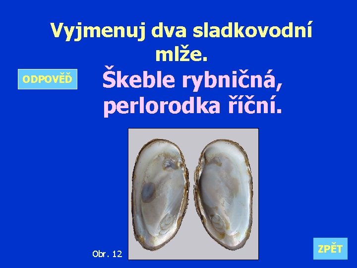 Vyjmenuj dva sladkovodní mlže. ODPOVĚĎ Škeble rybničná, perlorodka říční. Obr. 12 ZPĚT 