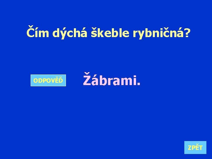 Čím dýchá škeble rybničná? ODPOVĚĎ Žábrami. ZPĚT 