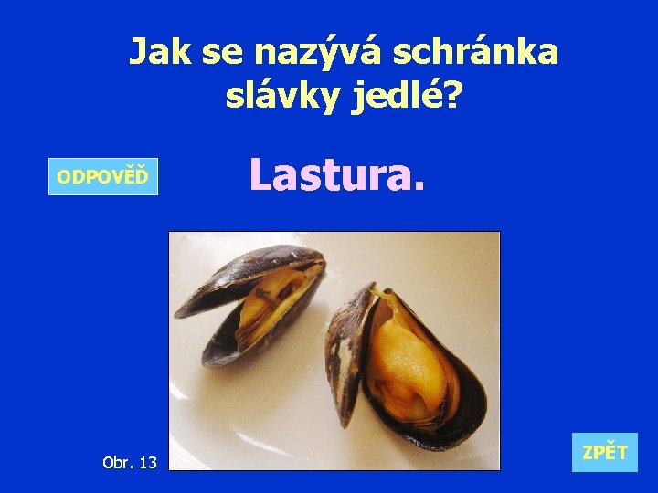 Jak se nazývá schránka slávky jedlé? ODPOVĚĎ Obr. 13 Lastura. ZPĚT 