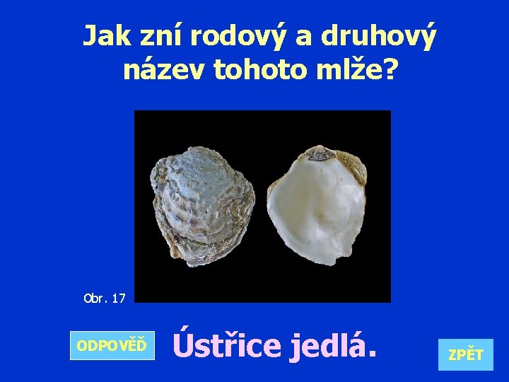 Jak zní rodový a druhový název tohoto mlže? Obr. 17 ODPOVĚĎ Ústřice jedlá. ZPĚT