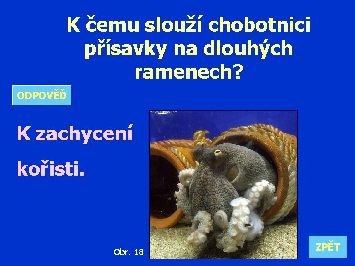 K čemu slouží chobotnici přísavky na dlouhých ramenech? ODPOVĚĎ K zachycení kořisti. Obr. 18