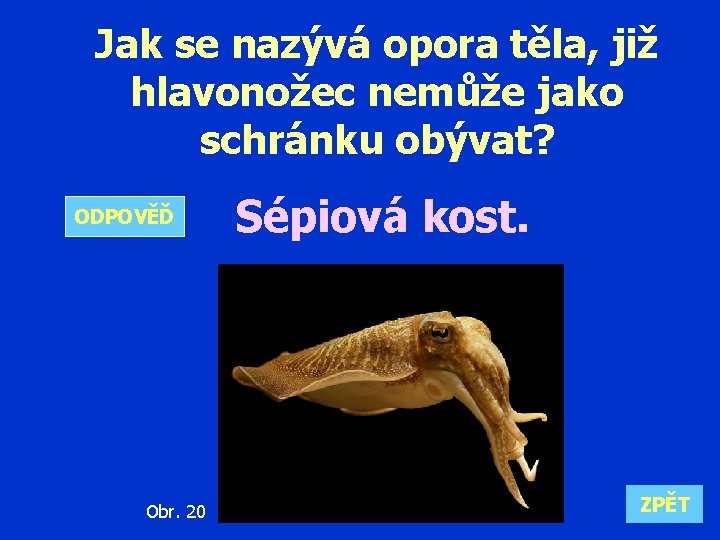 Jak se nazývá opora těla, již hlavonožec nemůže jako schránku obývat? ODPOVĚĎ Obr. 20