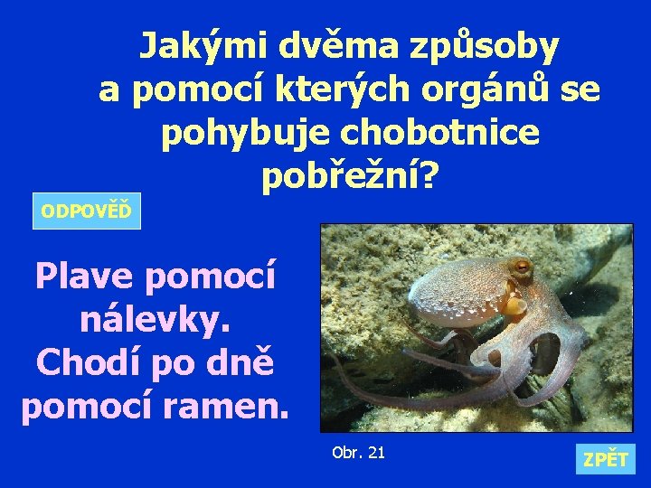 Jakými dvěma způsoby a pomocí kterých orgánů se pohybuje chobotnice pobřežní? ODPOVĚĎ Plave pomocí