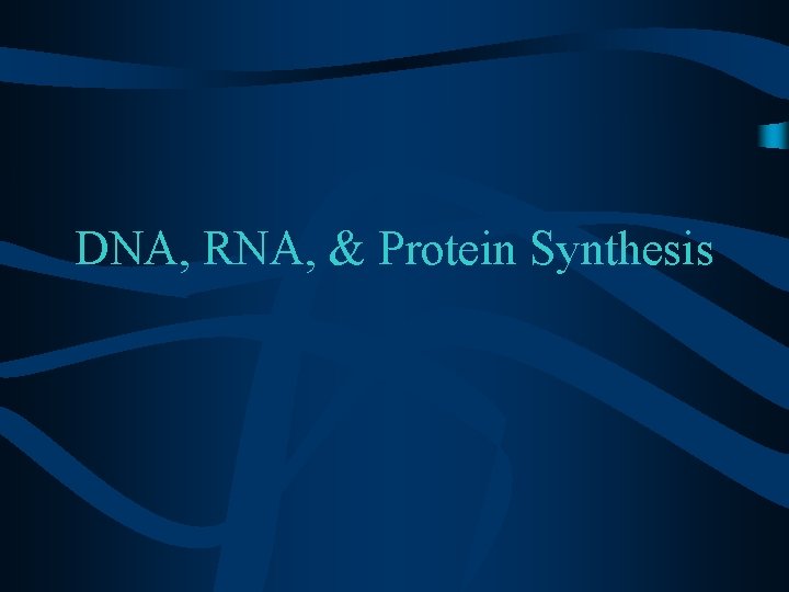DNA, RNA, & Protein Synthesis 