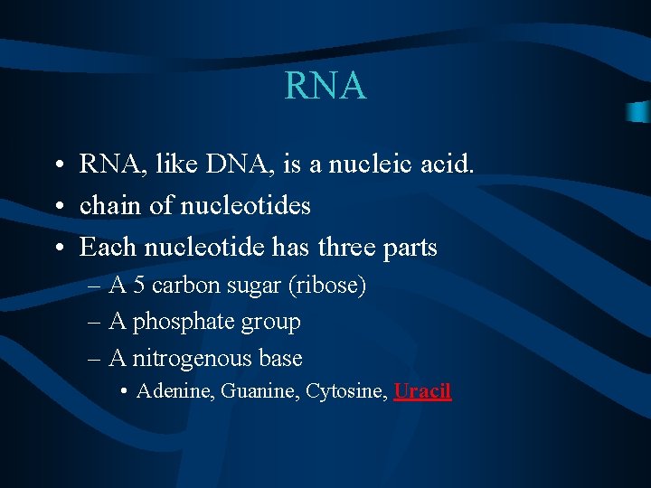 RNA • RNA, like DNA, is a nucleic acid. • chain of nucleotides •