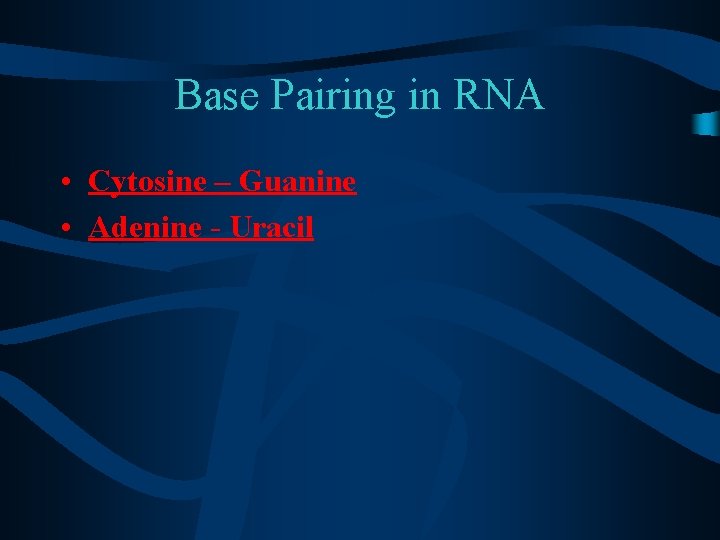 Base Pairing in RNA • Cytosine – Guanine • Adenine - Uracil 