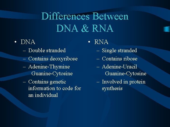 Differences Between DNA & RNA • DNA – Double stranded – Contains deoxyribose –