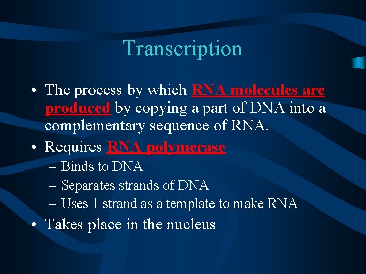 Transcription • The process by which RNA molecules are produced by copying a part