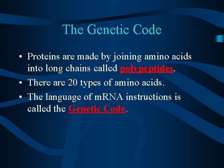 The Genetic Code • Proteins are made by joining amino acids into long chains