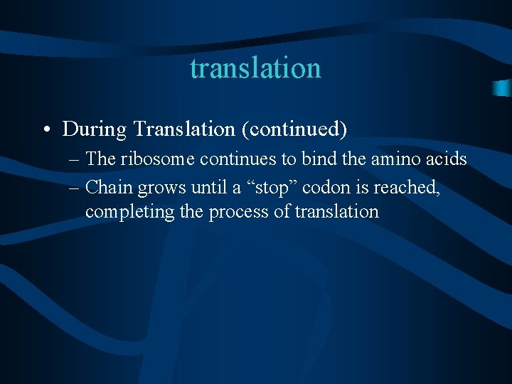 translation • During Translation (continued) – The ribosome continues to bind the amino acids