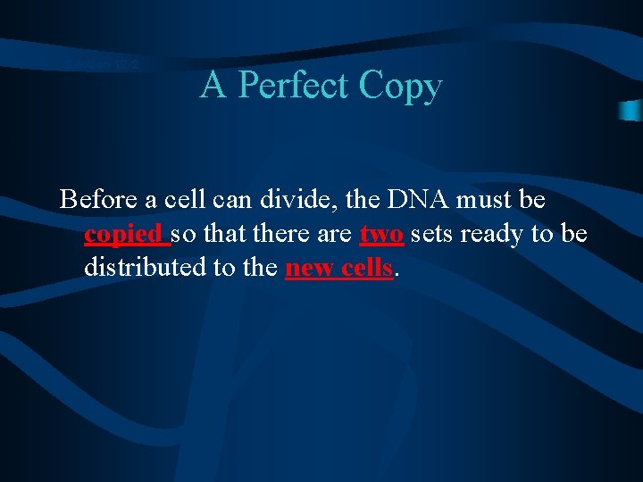 Section 12 -2 A Perfect Copy Before a cell can divide, the DNA must