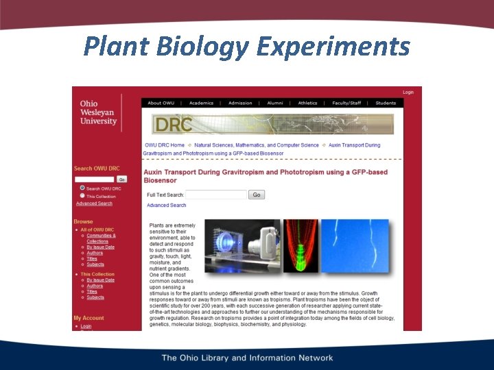 Plant Biology Experiments 