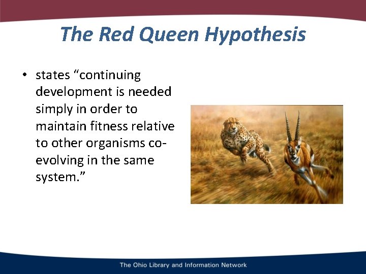 The Red Queen Hypothesis • states “continuing development is needed simply in order to