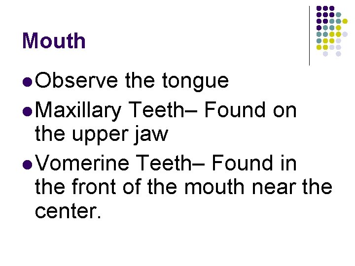 Mouth l Observe the tongue l Maxillary Teeth– Found on the upper jaw l