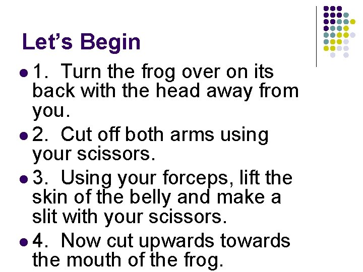 Let’s Begin l 1. Turn the frog over on its back with the head