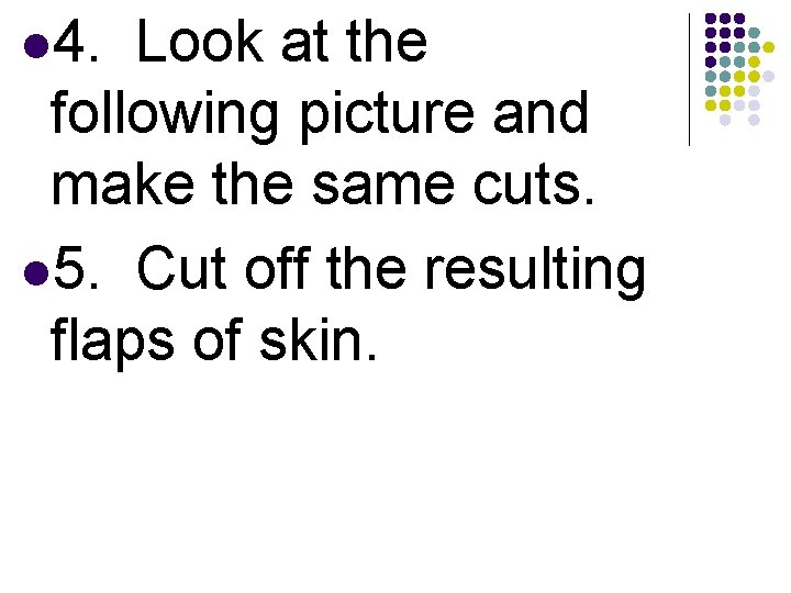 l 4. Look at the following picture and make the same cuts. l 5.