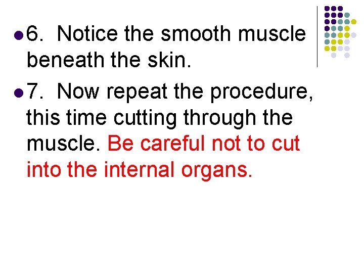 l 6. Notice the smooth muscle beneath the skin. l 7. Now repeat the